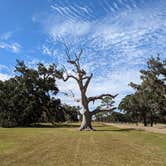 Review photo of Fontainebleau State Park Campground by Bob M., November 27, 2022