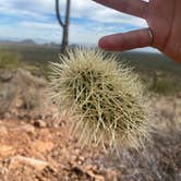 Review photo of Ironwood Forest BLM National Monument Pump Station Dispersed by Taylor , November 26, 2022