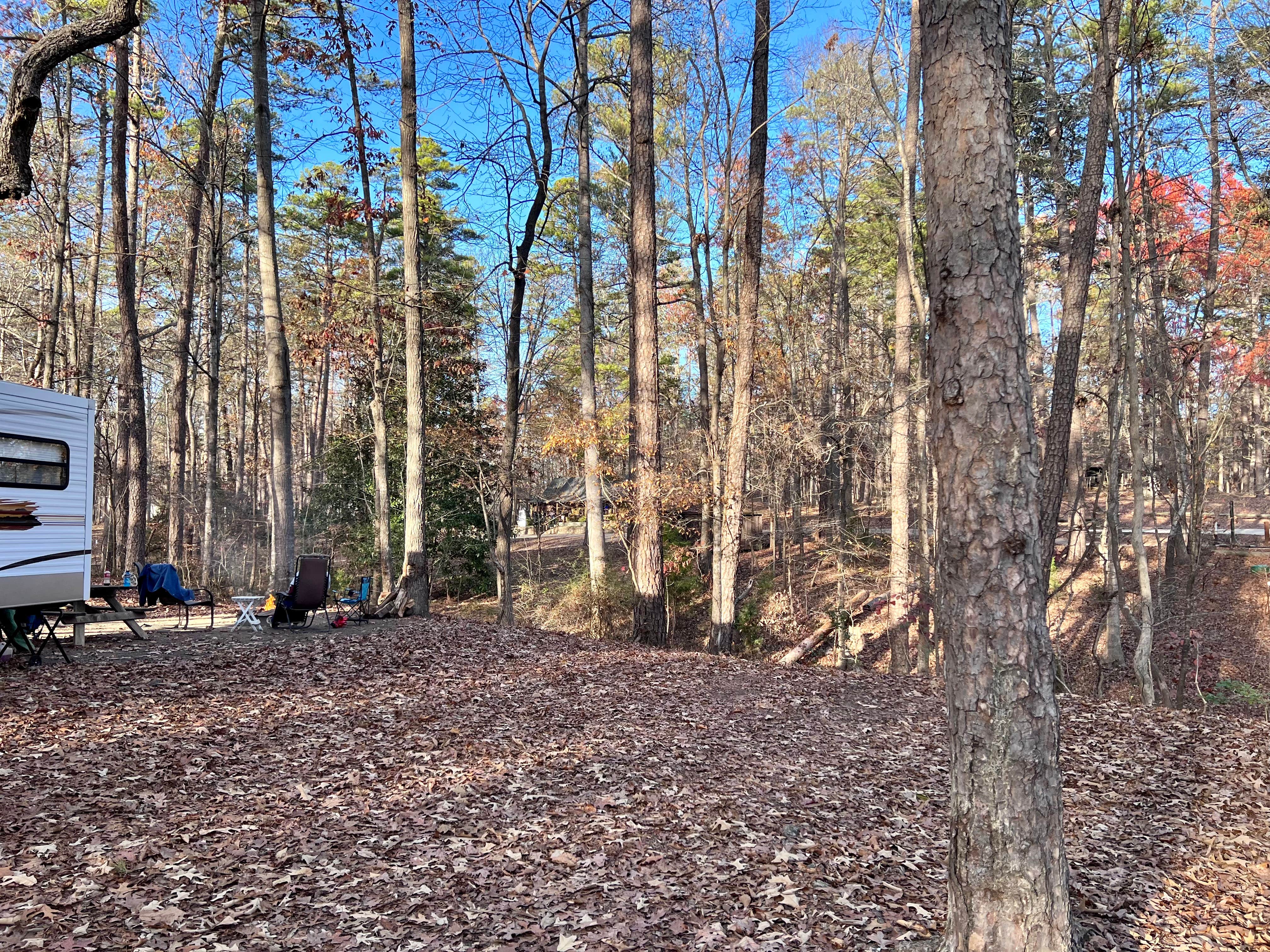 Tod S.'s photo at Kings Mountain — Kings Mountain State Park near Fort Mill, SC