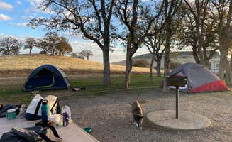 Stephani H.'s photo of camping with pets at Buckhorn Recreation Area near Corning, CA