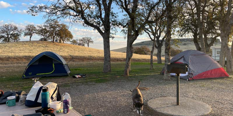 Camper submitted image from Buckhorn Recreation Area