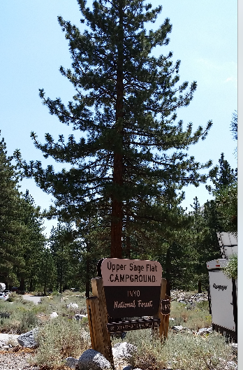 Camper submitted image from Upper Sage Flat Campground - 2