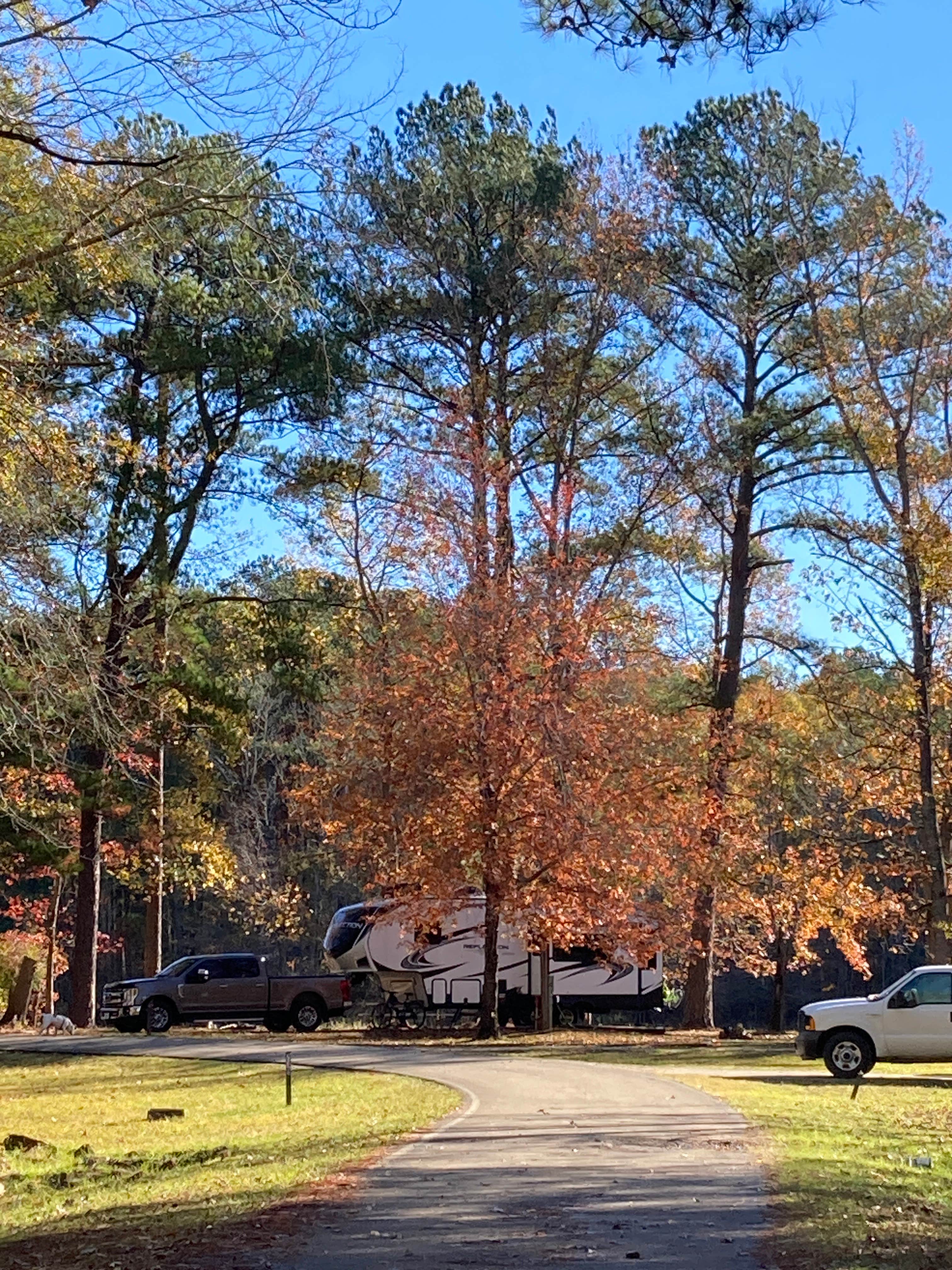 Kevin H.'s photo of camping with pets at COE Okatibbee Lake Twiltley Branch Campground near Decatur, MS