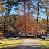 Review photo of COE Okatibbee Lake Twiltley Branch Campground by Kevin H., November 28, 2022