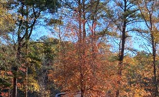 Kevin H.'s photo of camping with pets at COE Okatibbee Lake Twiltley Branch Campground near Morton, MS
