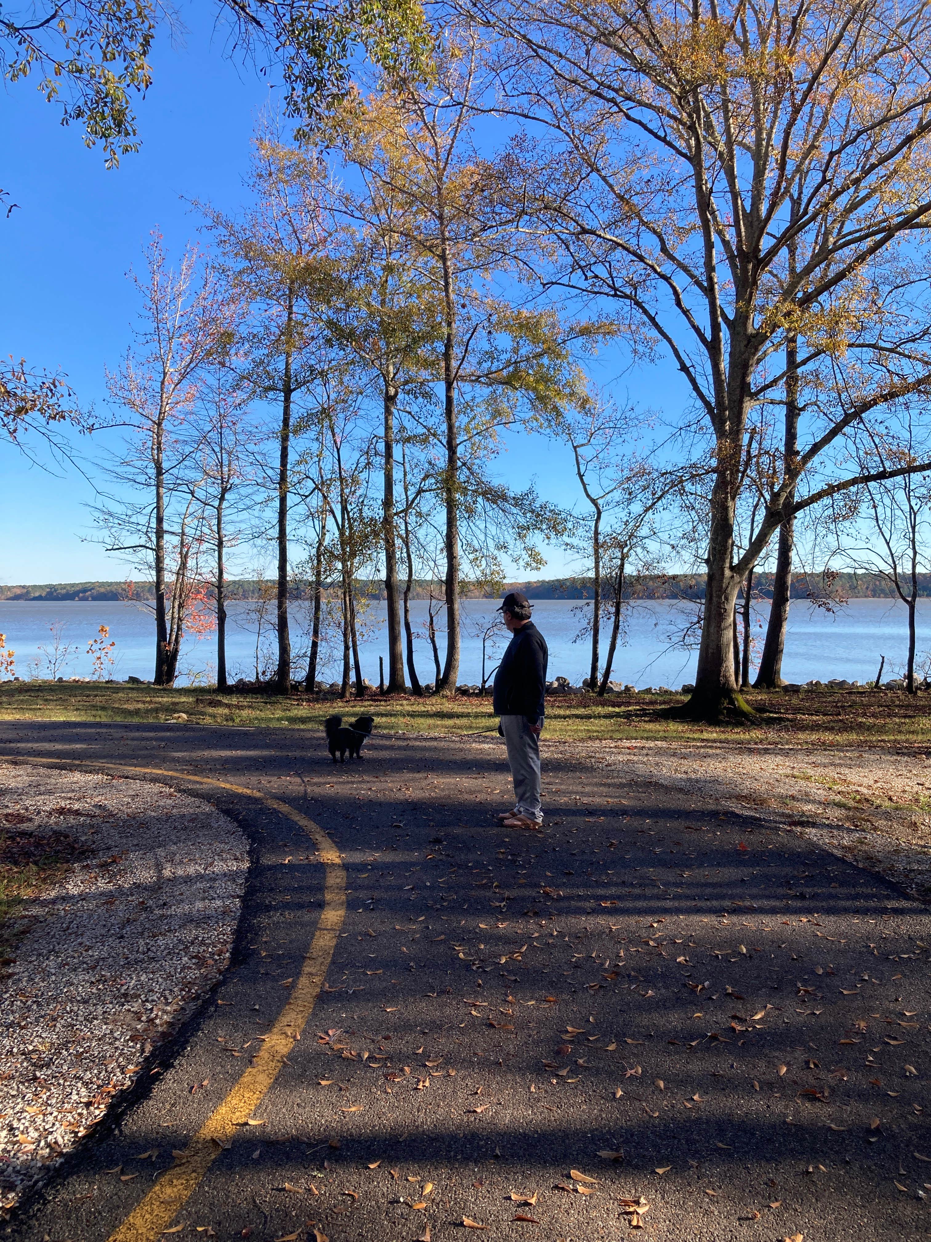 Kevin H.'s photo of camping with pets at COE Okatibbee Lake Twiltley Branch Campground near Quitman, MS