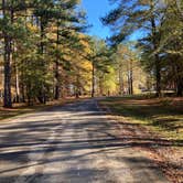 Review photo of COE Okatibbee Lake Twiltley Branch Campground by Kevin H., November 28, 2022