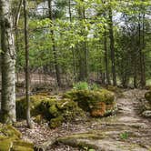 Review photo of Thousand Trails Carolina Landing by Ashley W., September 18, 2018