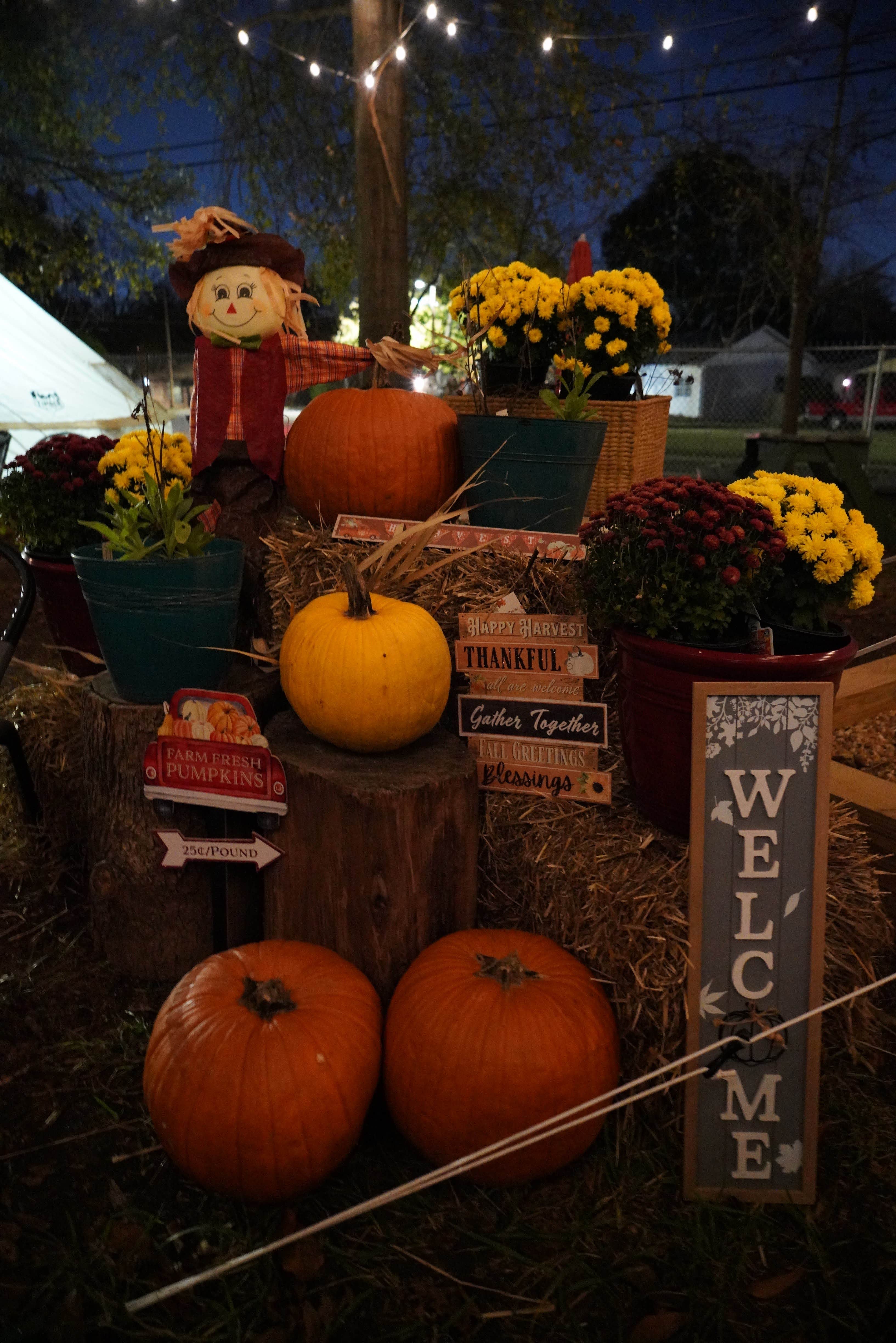 Camper-submitted photo at One with Nature Glamp Camp near Fairburn, GA