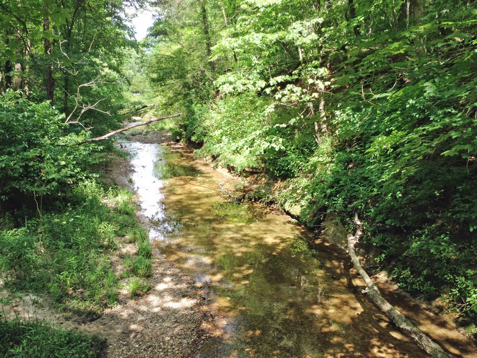 Camper submitted image from Thousand Trails Carolina Landing - 4