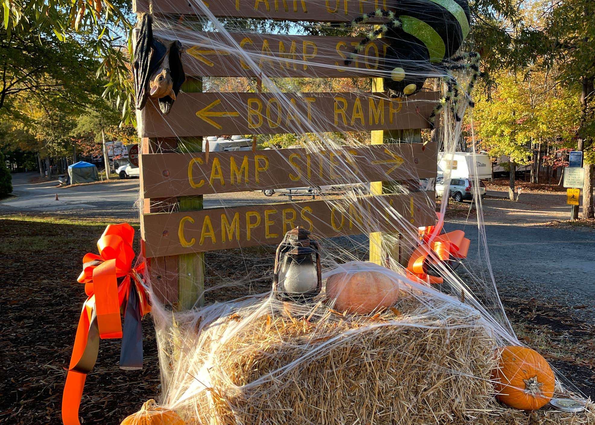 Lake Reidsville Recreation Park Camping The Dyrt
