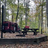 Review photo of Davidson River Campground by Lee D., November 28, 2022