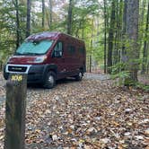 Review photo of Davidson River Campground by Lee D., November 28, 2022