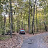 Review photo of Davidson River Campground by Lee D., November 28, 2022