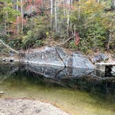 Review photo of Davidson River Campground by Lee D., November 28, 2022