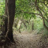Review photo of Thousand Trails Carolina Landing by Ashley W., September 18, 2018
