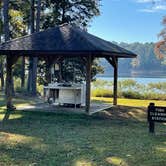 Review photo of Dreher Island State Park Campground by Lee D., November 28, 2022