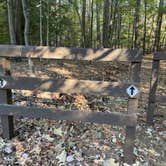 Review photo of Dreher Island State Park Campground by Lee D., November 28, 2022