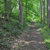 Review photo of Thousand Trails Carolina Landing by Ashley W., September 18, 2018