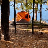 Review photo of Dreher Island State Park Campground by Lee D., November 28, 2022
