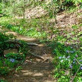 Review photo of Thousand Trails Carolina Landing by Ashley W., September 18, 2018