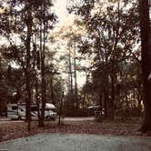 Review photo of Skidaway Island State Park Campground by Laurie B., November 28, 2022