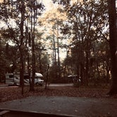 Review photo of Skidaway Island State Park Campground by Laurie B., November 28, 2022