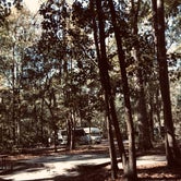 Review photo of Skidaway Island State Park Campground by Laurie B., November 28, 2022