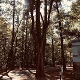 Review photo of Skidaway Island State Park Campground by Laurie B., November 28, 2022