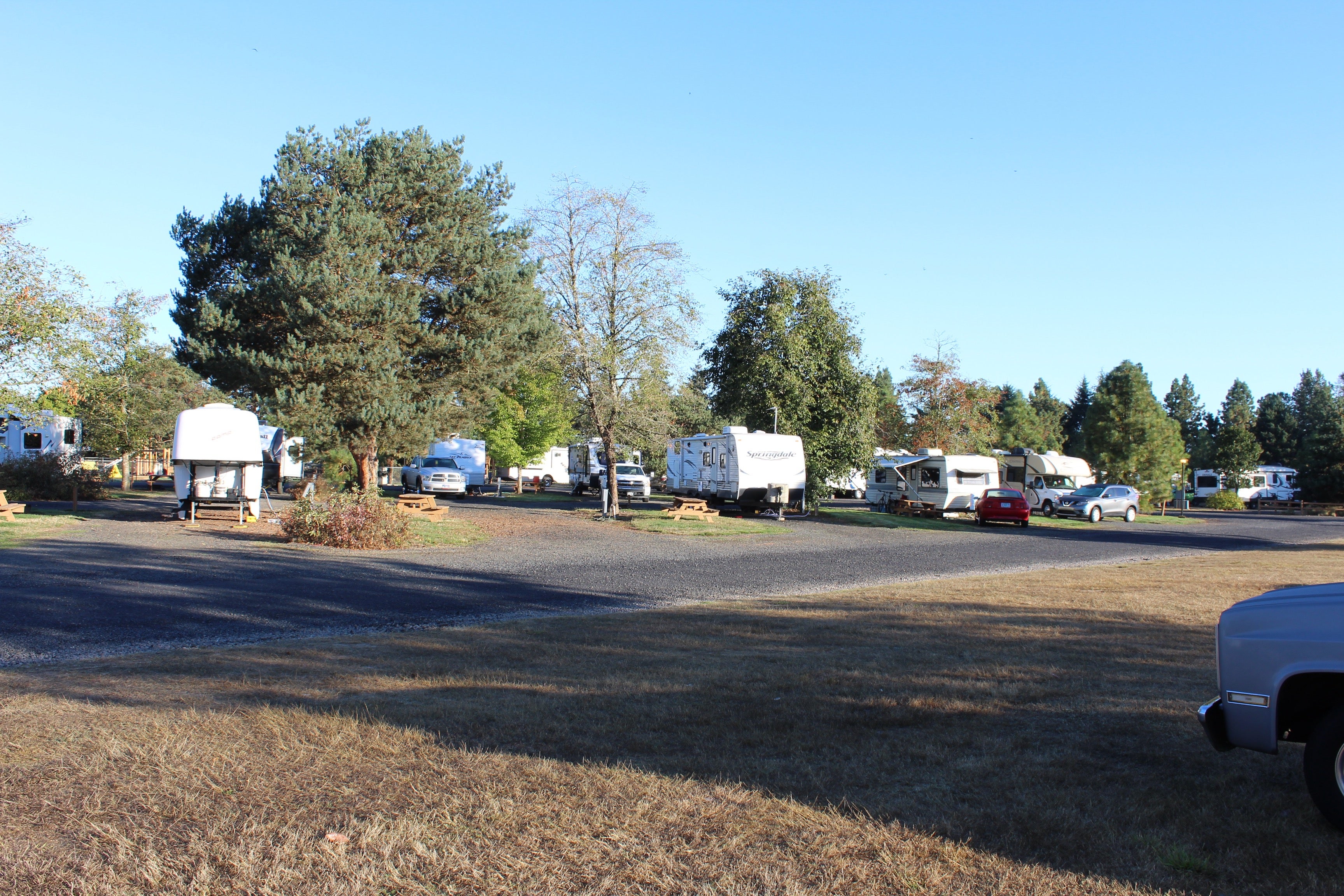 Camper submitted image from Albany-Corvallis KOA - 2