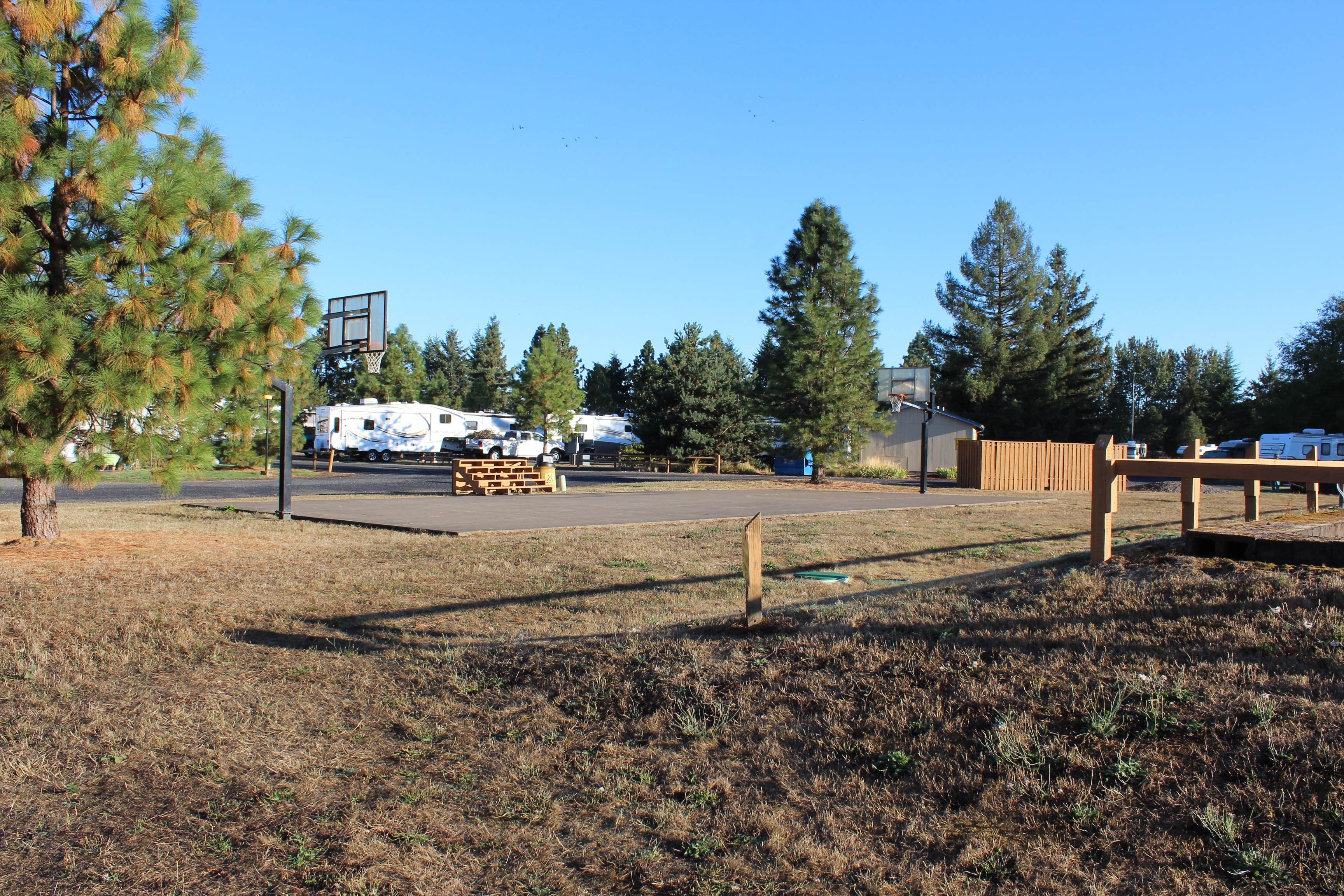 Camper submitted image from Albany-Corvallis KOA - 1