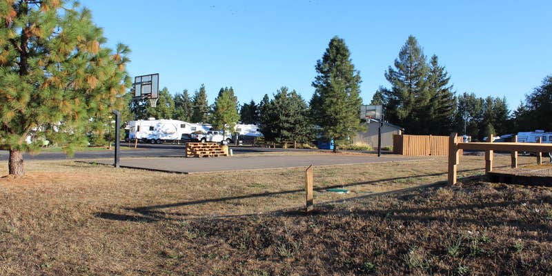 Camper submitted image from Albany-Corvallis KOA