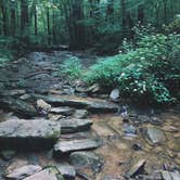 Review photo of Owens Creek Campground — Catoctin Mountain Park by Matthew K., September 18, 2018