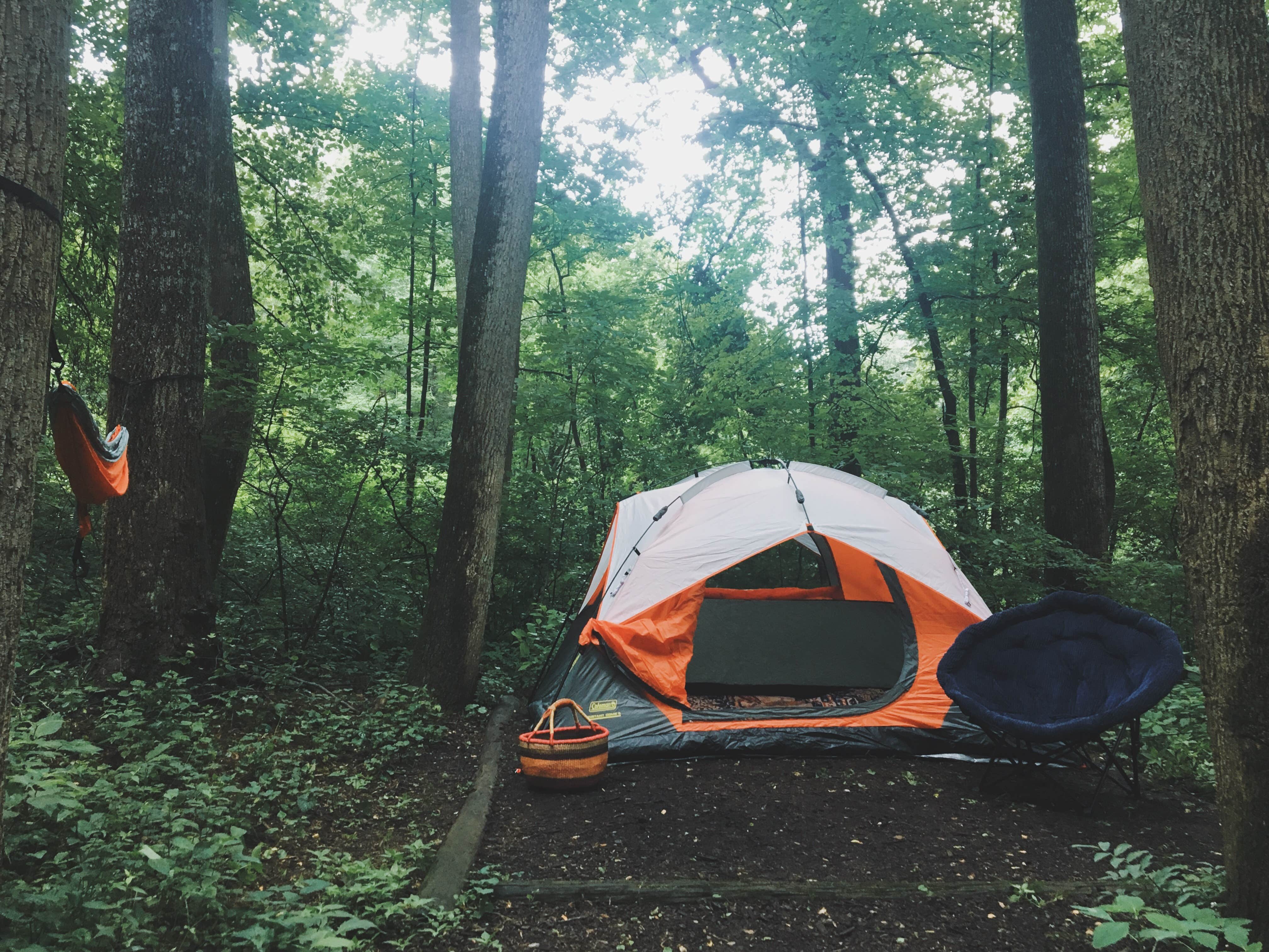 Camper submitted image from Owens Creek Campground — Catoctin Mountain Park - 3