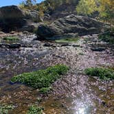 Review photo of Pedernales Falls State Park Campground by Charly S., November 29, 2022