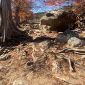 Review photo of Pedernales Falls State Park Campground by Charly S., November 29, 2022