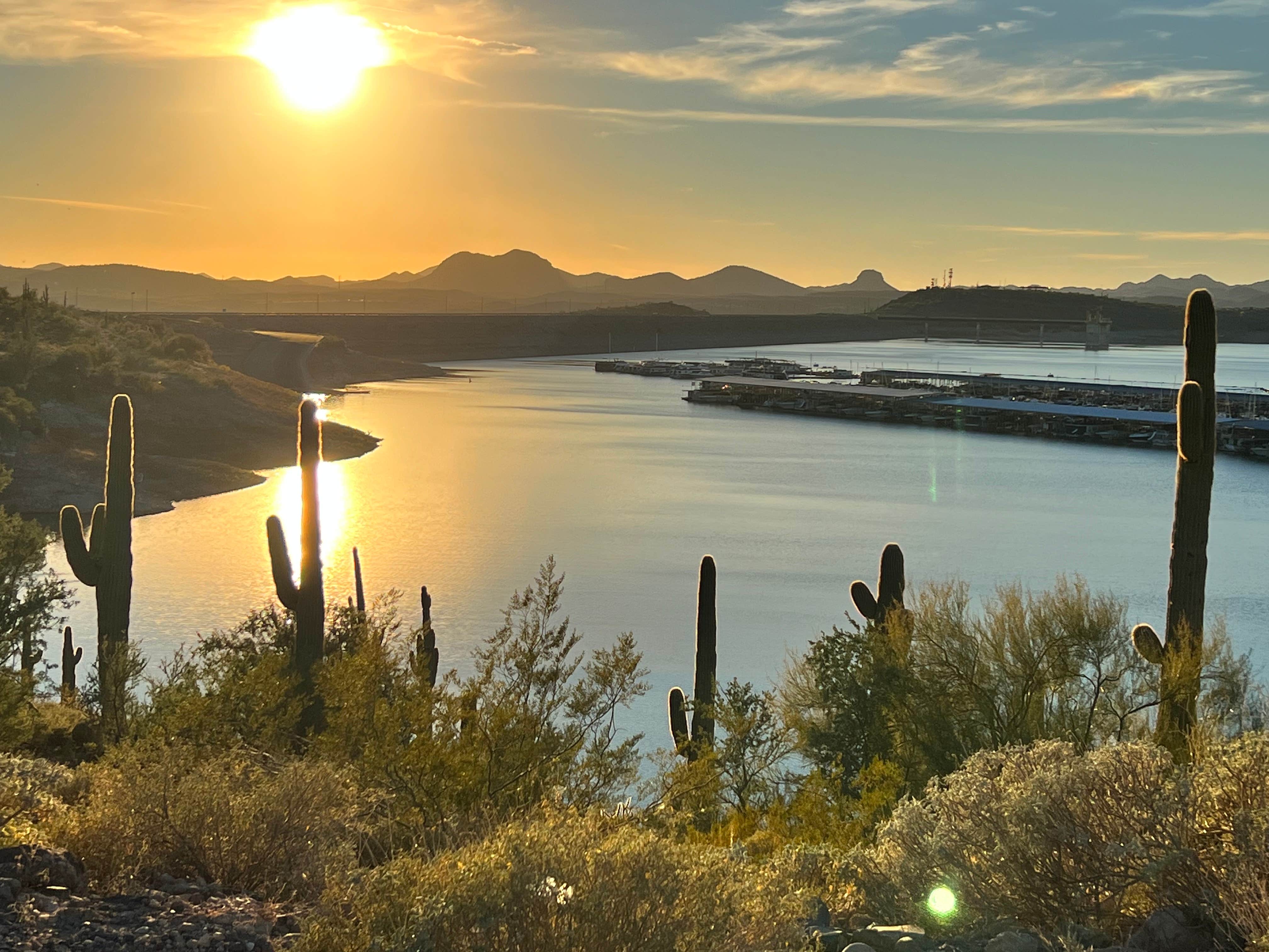 Camper-submitted photo at Pleasant Harbor RV Resort near Scottsdale, AZ