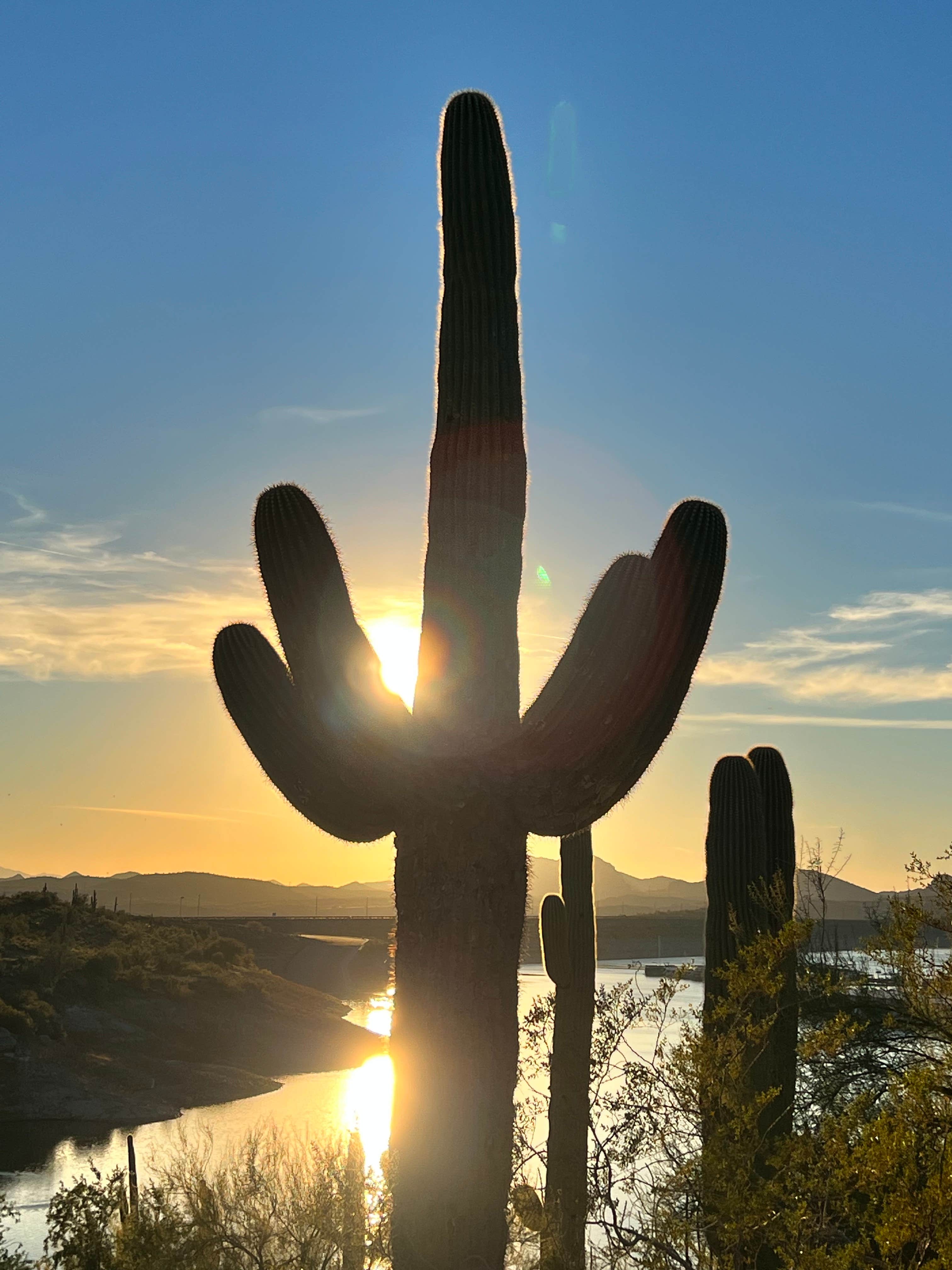 Camper-submitted photo at Pleasant Harbor RV Resort near Scottsdale, AZ