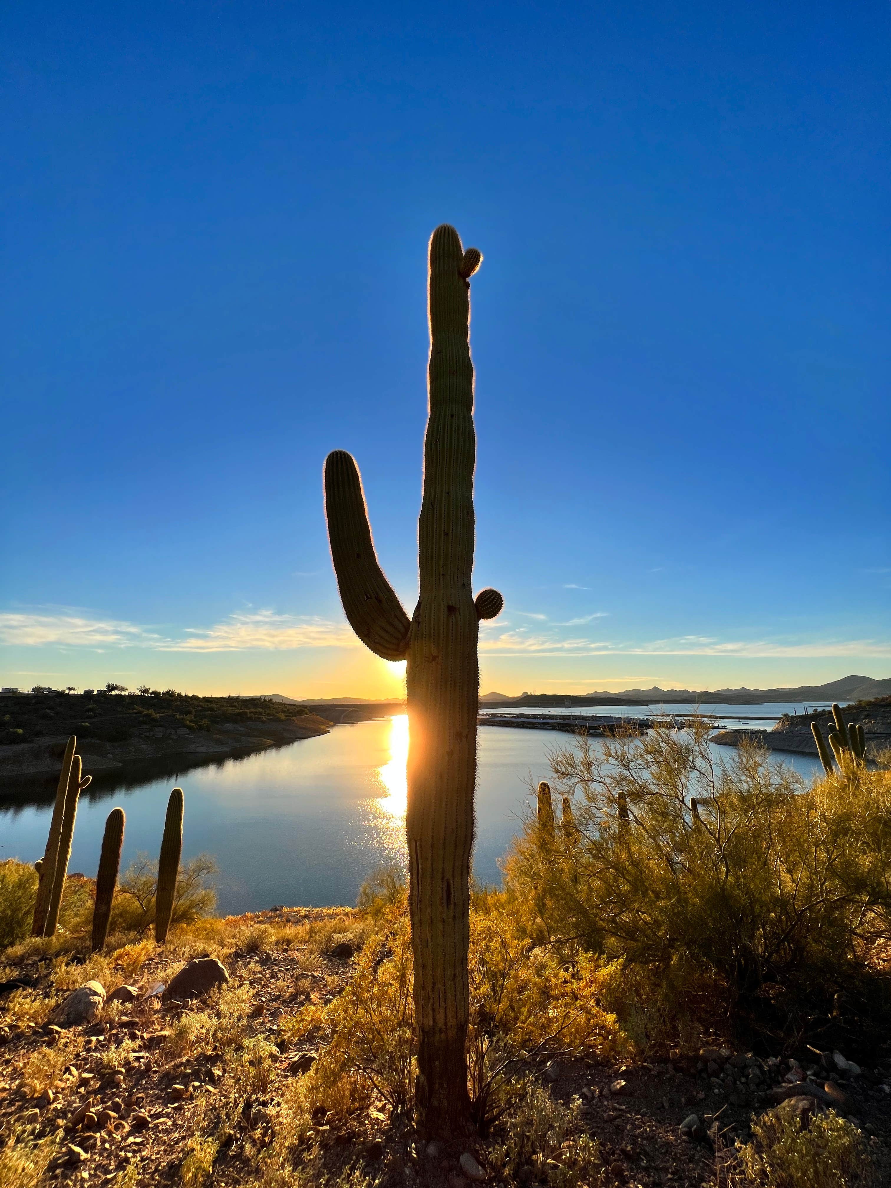 Camper-submitted photo at Pleasant Harbor RV Resort near Scottsdale, AZ