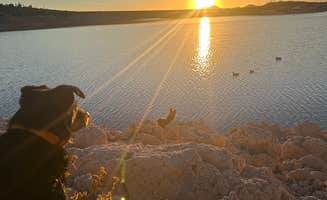 Cam P.'s photo of camping with pets at Pleasant Harbor RV Resort near Crown King, AZ