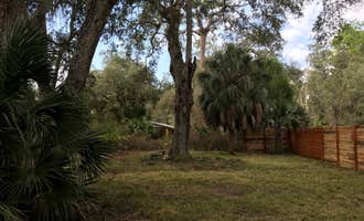Camping near Old Town Open Land: Pines and Palms Homestead, Fanning Springs, Florida