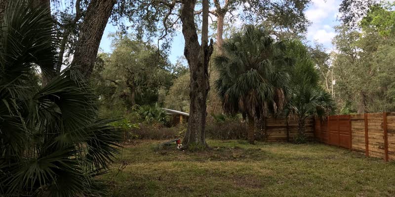 Camper submitted image from Pines and Palms Homestead