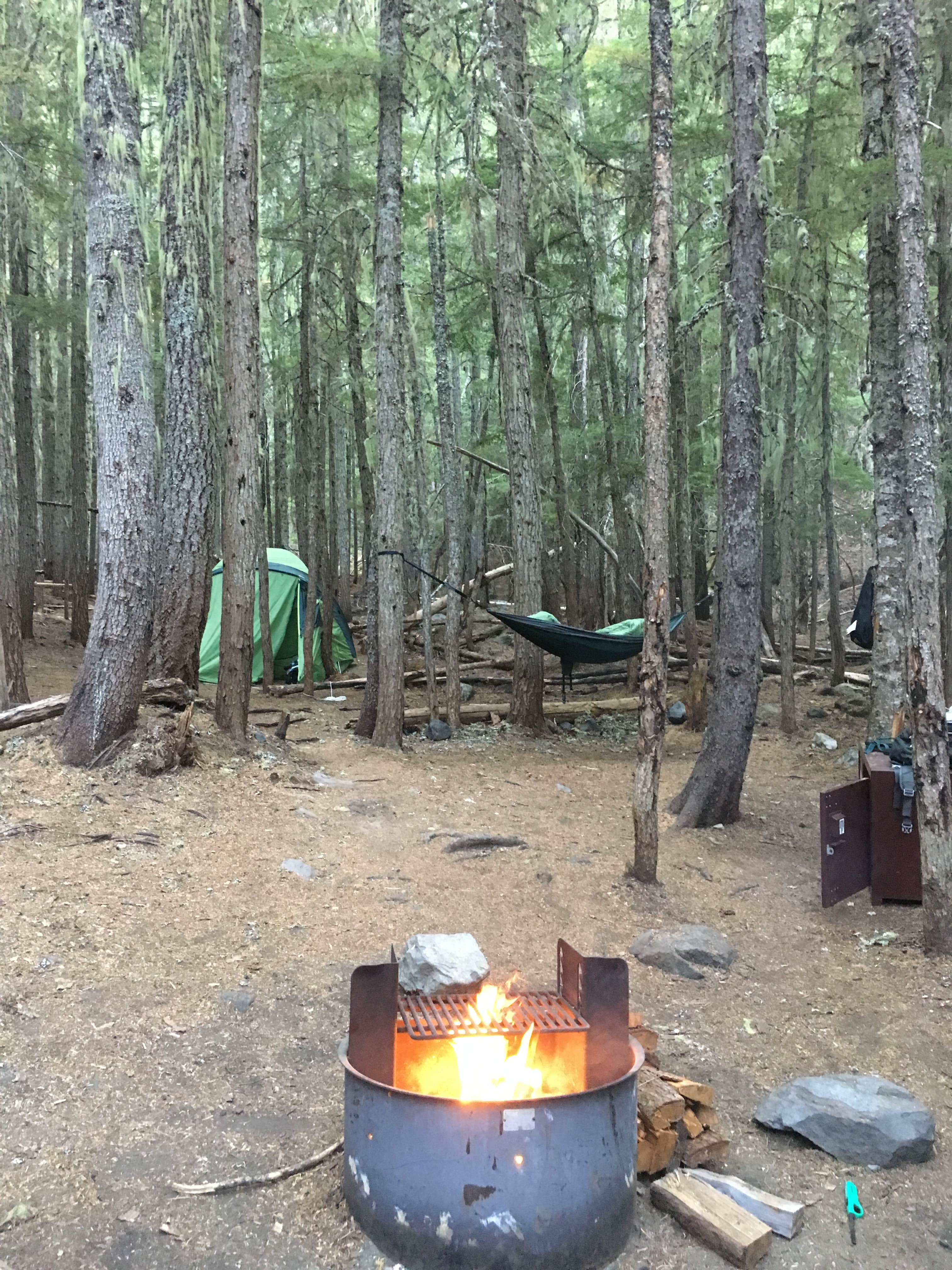 Colin P.'s photo at White River Campground — Mount Rainier National Park near Paradise, WA