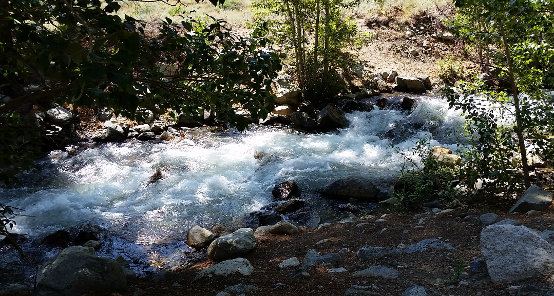 Camper submitted image from Upper Sage Flat Campground - 3