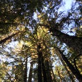 Review photo of White River Campground — Mount Rainier National Park by Colin P., September 18, 2018