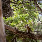 Review photo of Hermit Park Open Space by Mike T., November 29, 2022