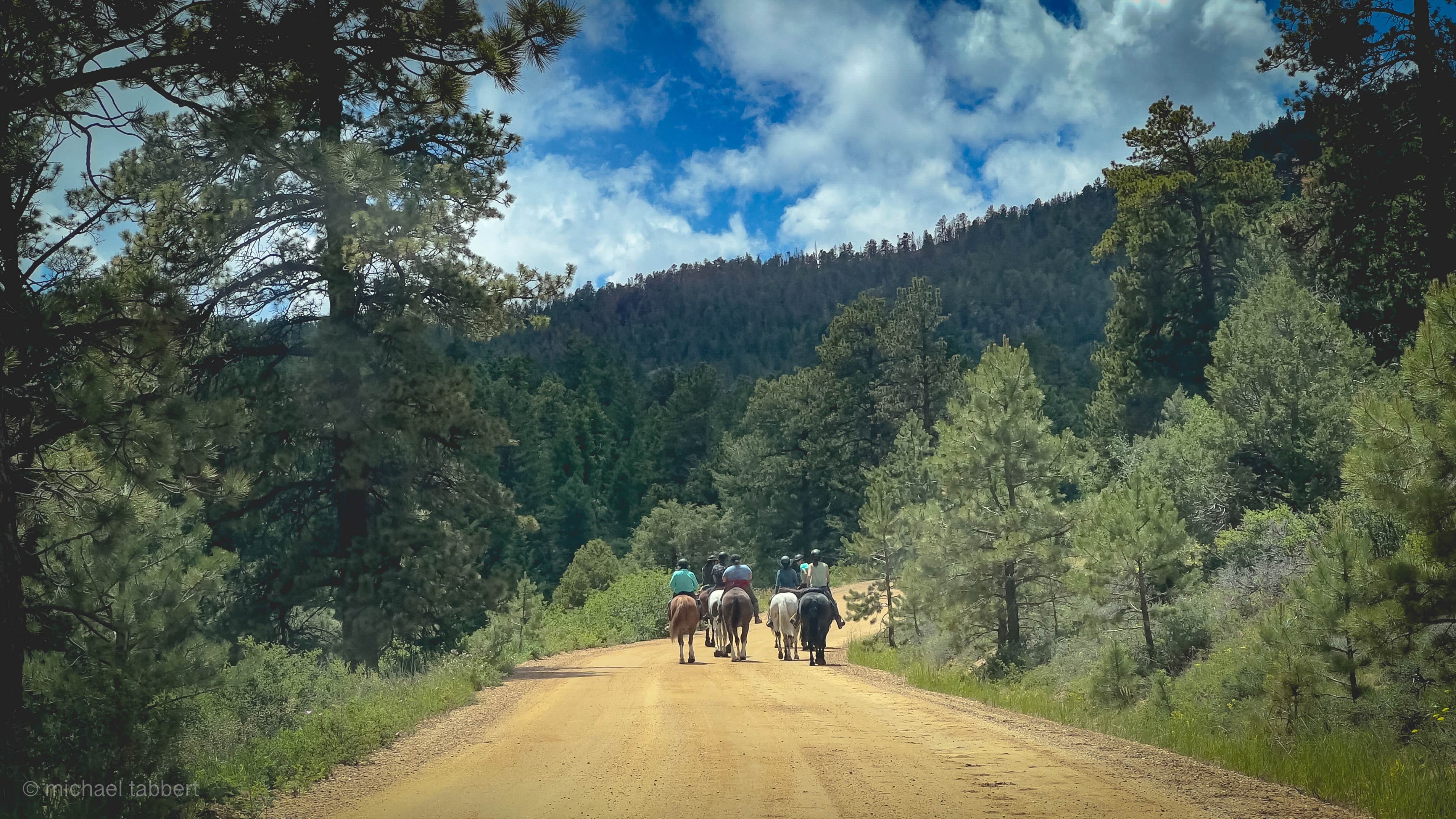 Mike T.'s photo of camping with a horse at Hermits Hollow Campground — Hermit Park near Idaho Springs, CO