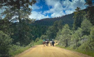 Mike T.'s photo of camping with a horse at Hermits Hollow Campground — Hermit Park near Westminster, CO