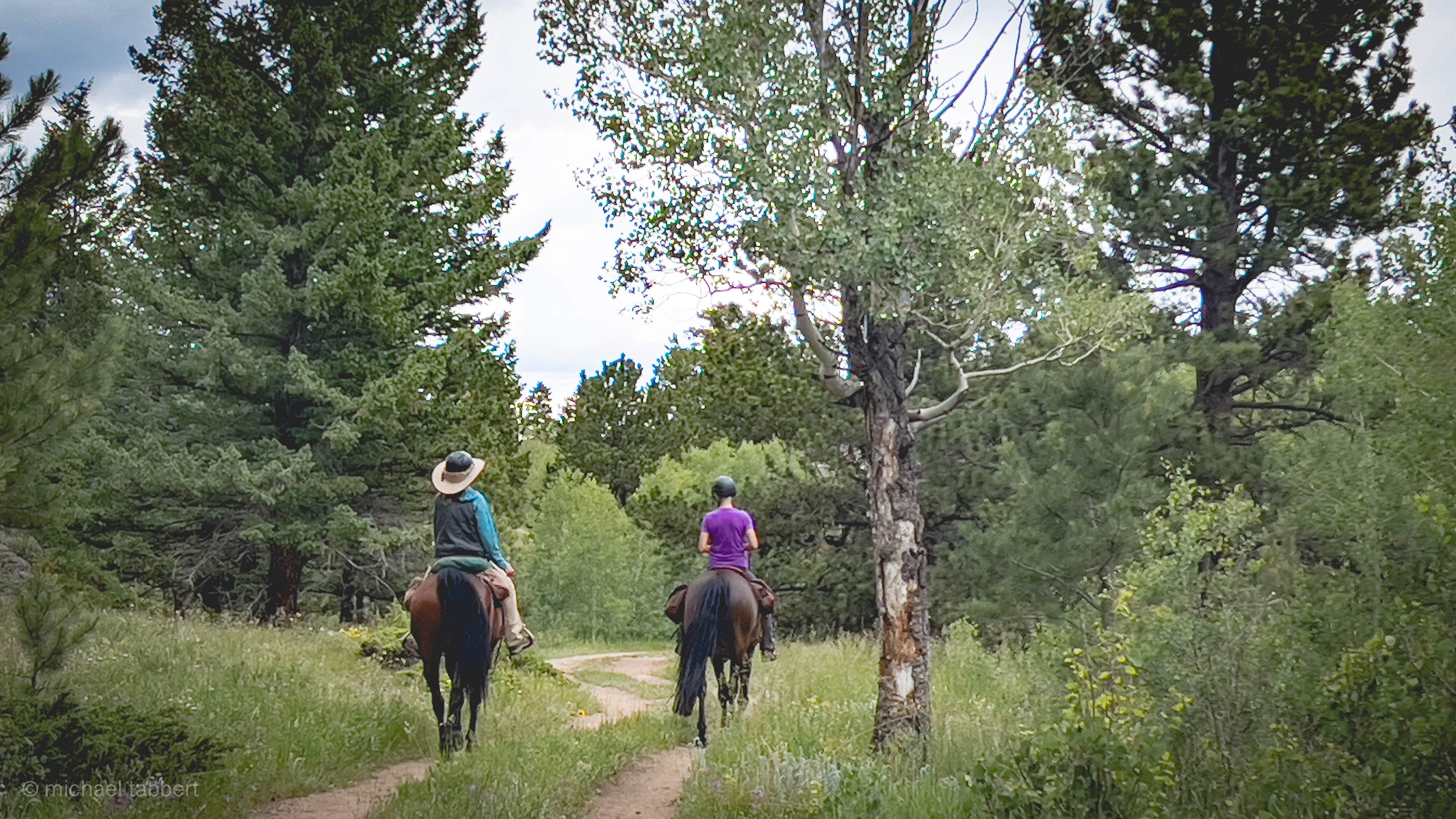 Mike T.'s photo of camping with a horse at Hermits Hollow Campground — Hermit Park near Fort Collins, CO