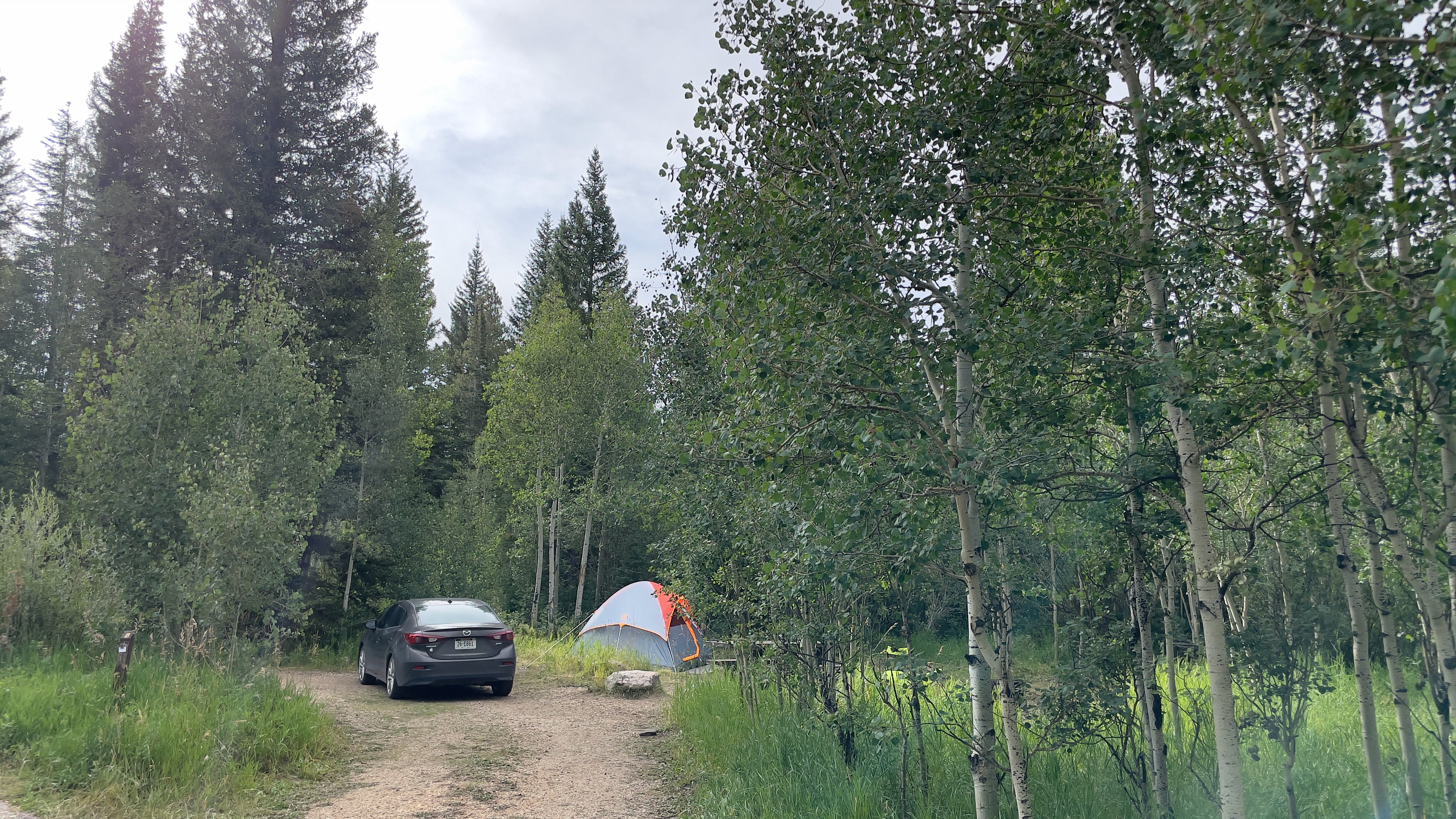 Camper submitted image from Libby Creek Spruce Campground - 1